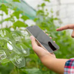 IOT agricultural